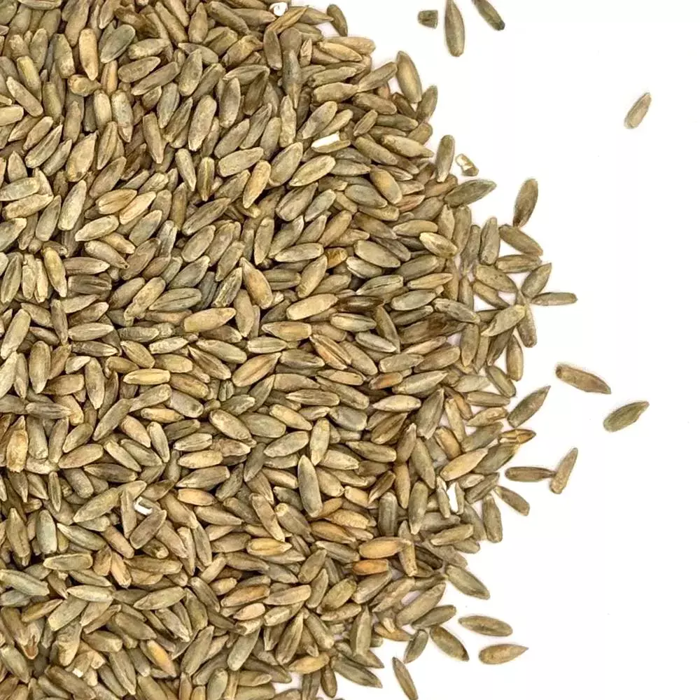 VNS Cereal Rye