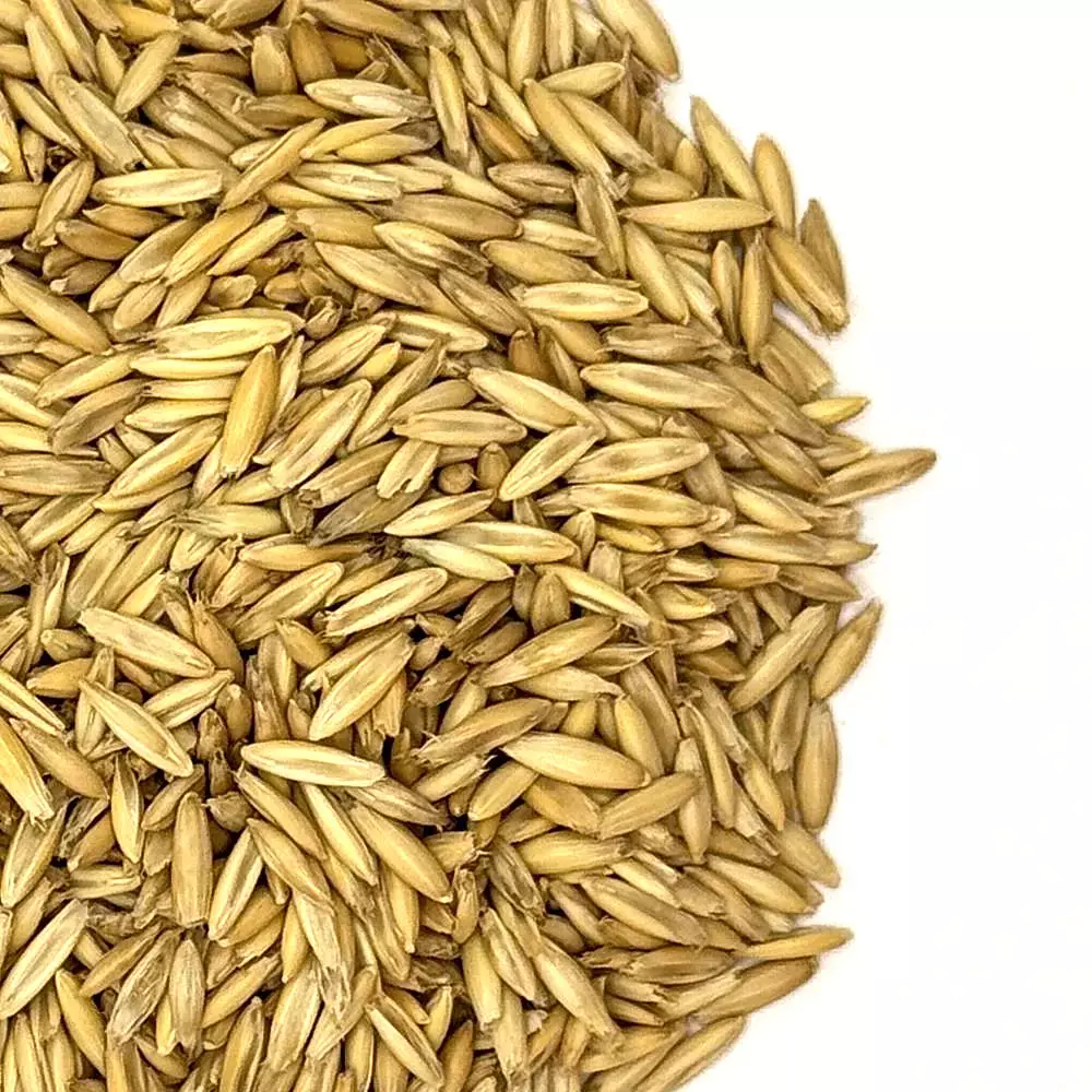 Goliath Oats