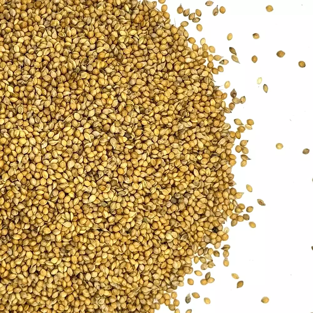 Golden German Millet