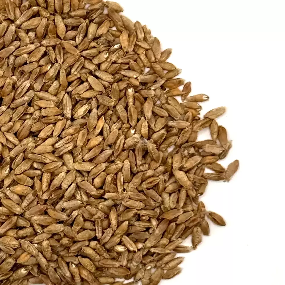 Spring Triticale