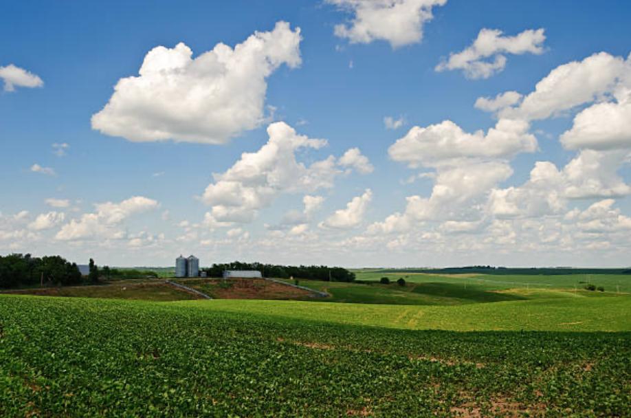 Benefits of Cover Crops